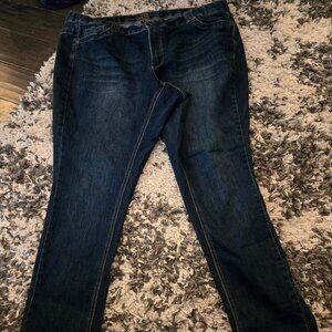 Love & Legend by Addition Elle Skinny Jeans | Size 22